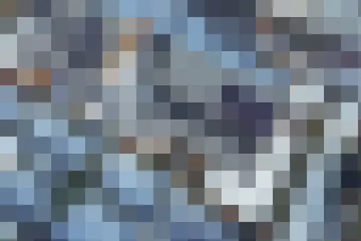 Sint Japiksdyk 7 Winsum thumbnail 39
