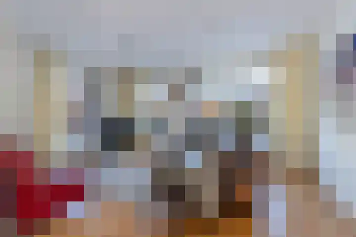 Sint Japiksdyk 7 Winsum thumbnail 8