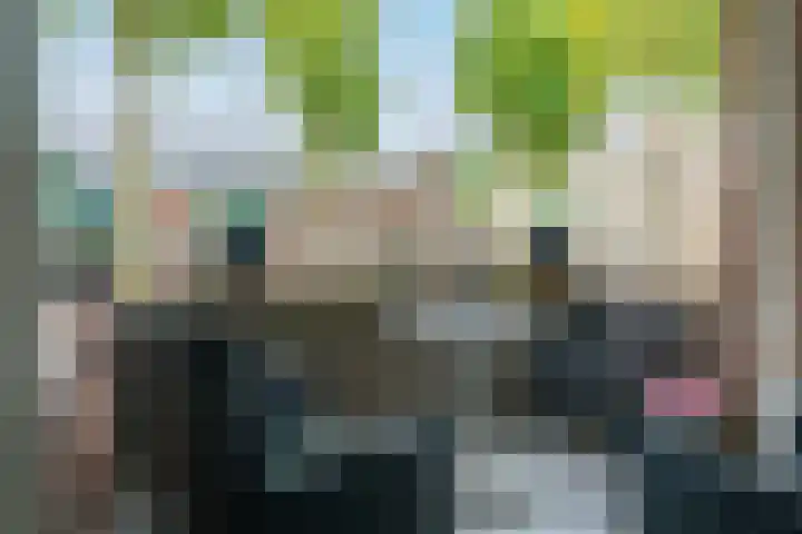 Sint Jorisstate 1 Rosmalen thumbnail 21