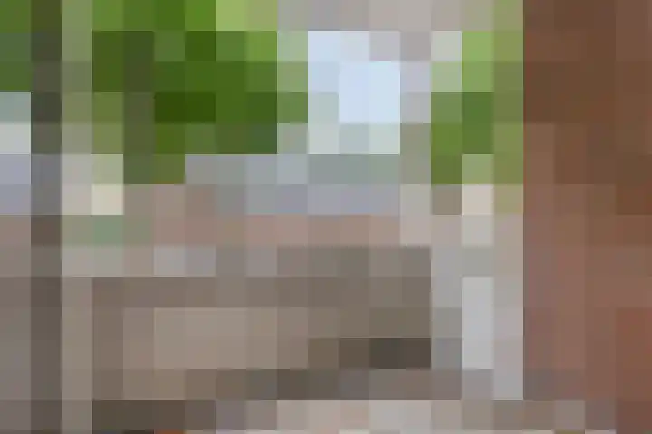 Sint Jorisstate 9 Rosmalen thumbnail 6