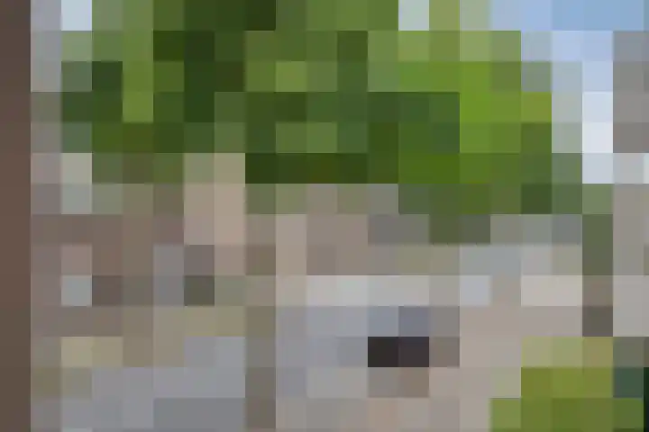 Sint Jorisstate 9 Rosmalen thumbnail 7