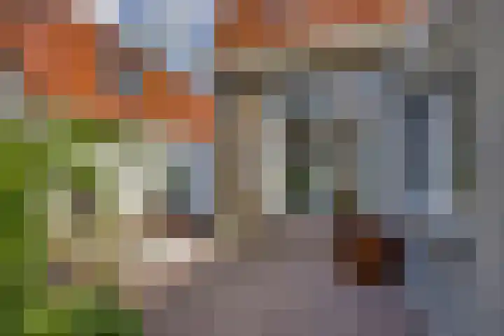 Sint Jorisstraat 10 Kampen thumbnail 4