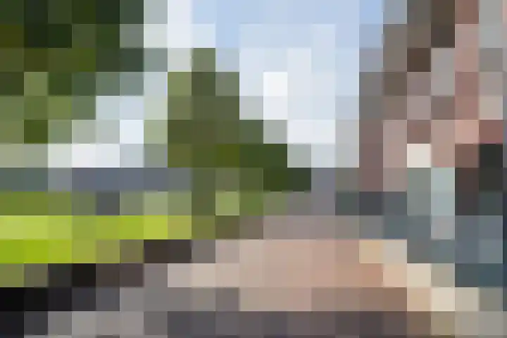 Sint-Jorisveld 26 Haarlem thumbnail 41