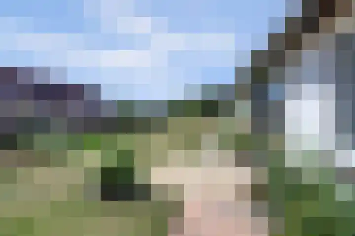 Sint Josephstraat 5 Didam thumbnail 4