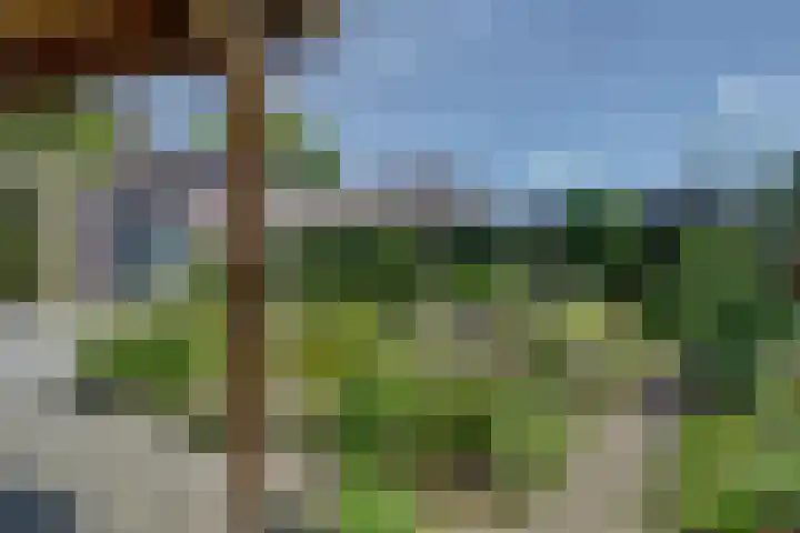Sint Josephstraat 9 Stevensbeek thumbnail 35