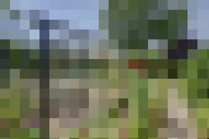 Sint Josephstraat 9 Stevensbeek thumbnail 37