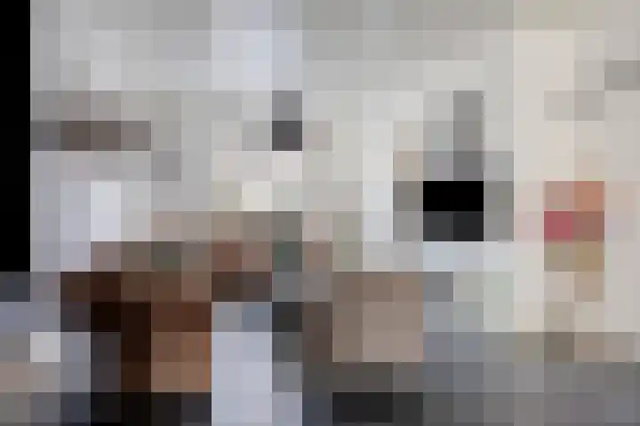 Sint Leonardusstraat 24 Oss thumbnail 5