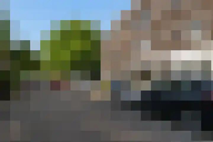 Sint Liduinastraat 92 B Schiedam thumbnail 26