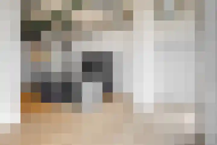 Sint Maartenpad 13 Haarlem thumbnail 11