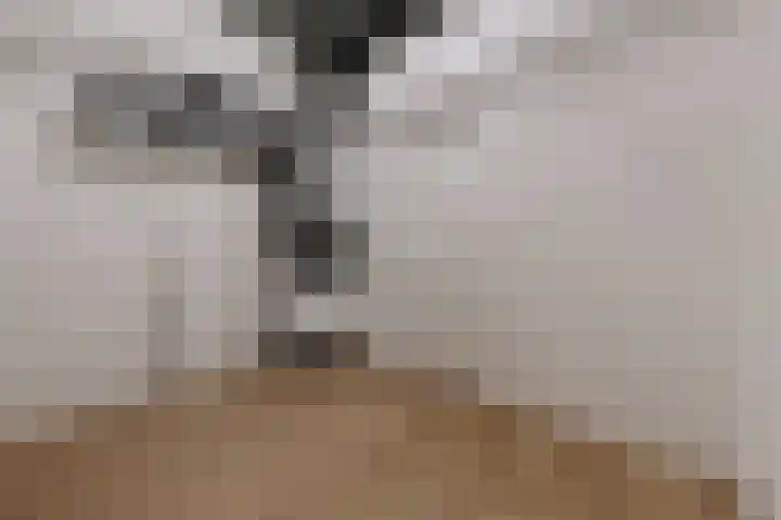 Sint Maartenpad 13 Haarlem thumbnail 30