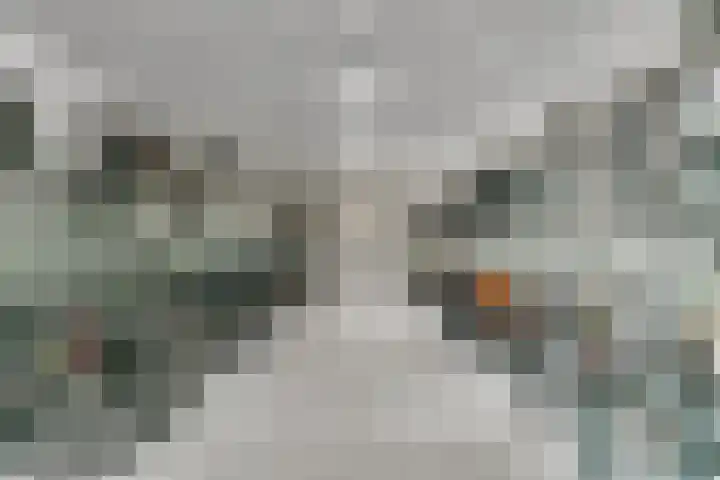 Sint Maartenpad 13 Haarlem thumbnail 34