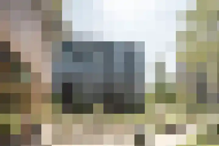 Sint Maartenpad 13 Haarlem thumbnail 37