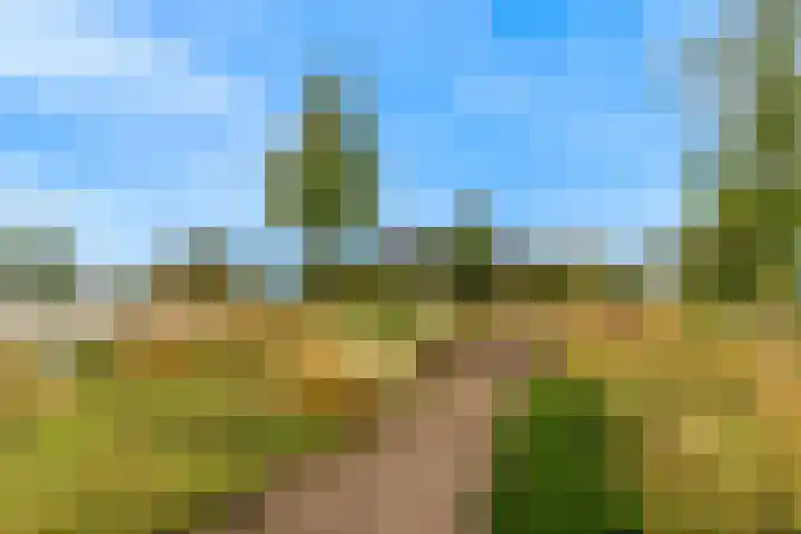 Sint Maartenpad 13 Haarlem thumbnail 39