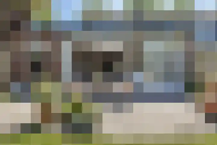 Sint Marcusstraat 1 Poeldijk foto 2