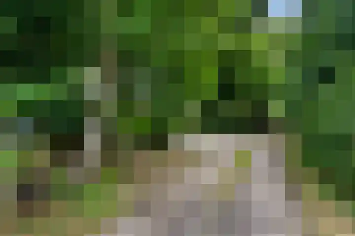 Sint Marcusstraat 1 Poeldijk thumbnail 26
