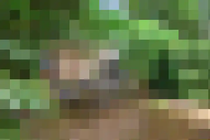 Sint Marten 33 Arnhem thumbnail 18