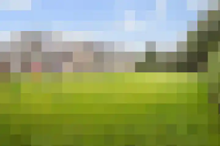 Sint Martinusstraat 45 Beek thumbnail 37