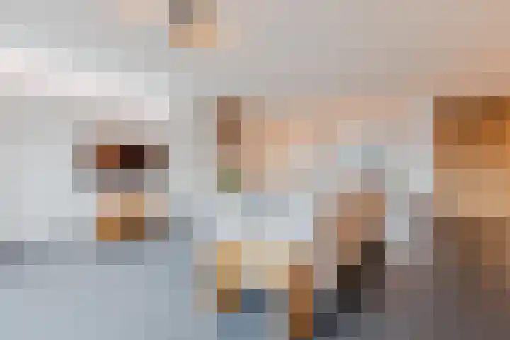 Sint Ontcommerstraat 14 Steenbergen thumbnail 12