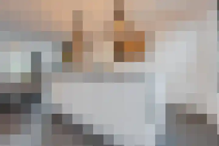 Sint Ontcommerstraat 14 Steenbergen thumbnail 20