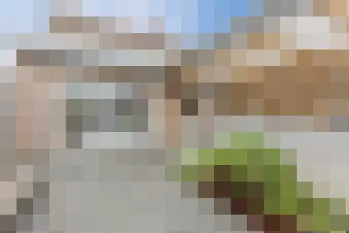 Sint Ontcommerstraat 14 Steenbergen thumbnail 52