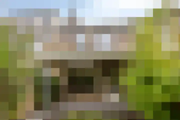 Sint Victor 3 Bergeijk thumbnail 23