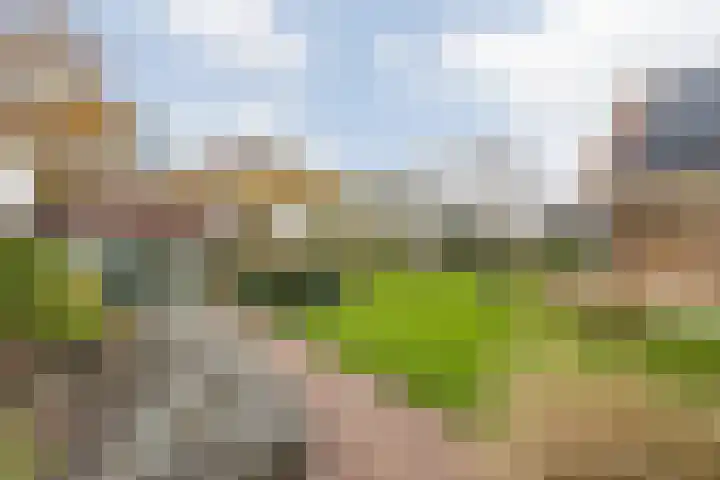 Sinte Catharinadal 2 Willemstad thumbnail 32
