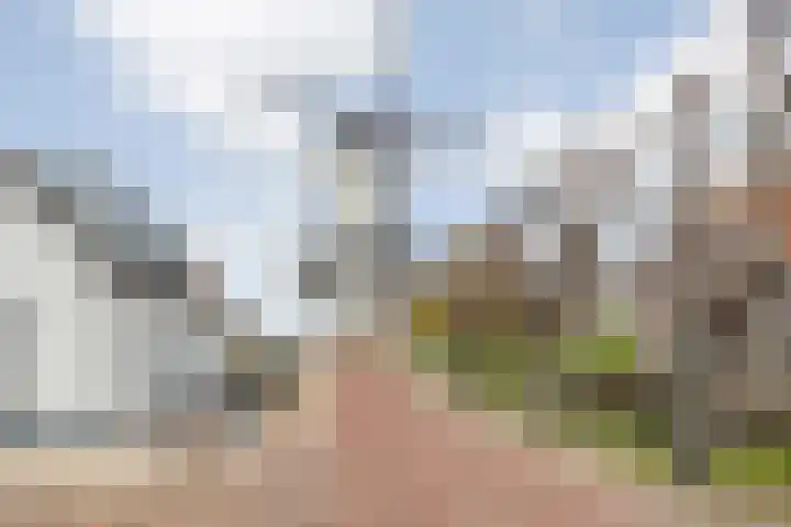 Sinte Catharinadal 2 Willemstad thumbnail 37