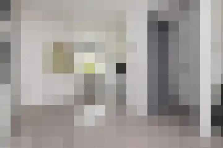 Sion 22 Pijnacker thumbnail 11