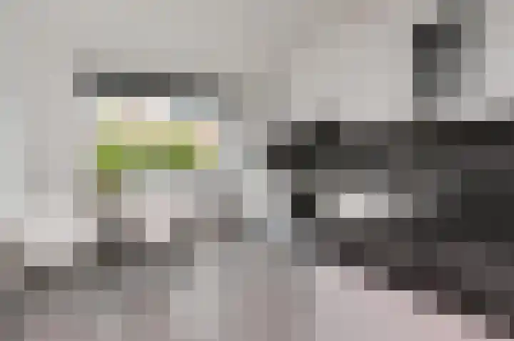 Sion 22 Pijnacker thumbnail 13