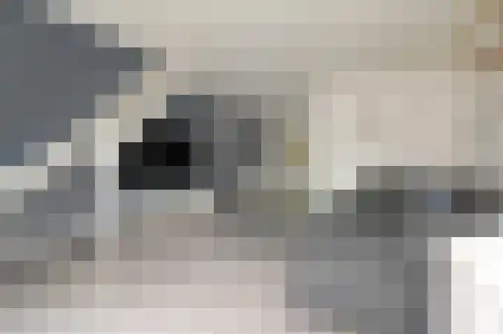 Sion 22 Pijnacker thumbnail 8