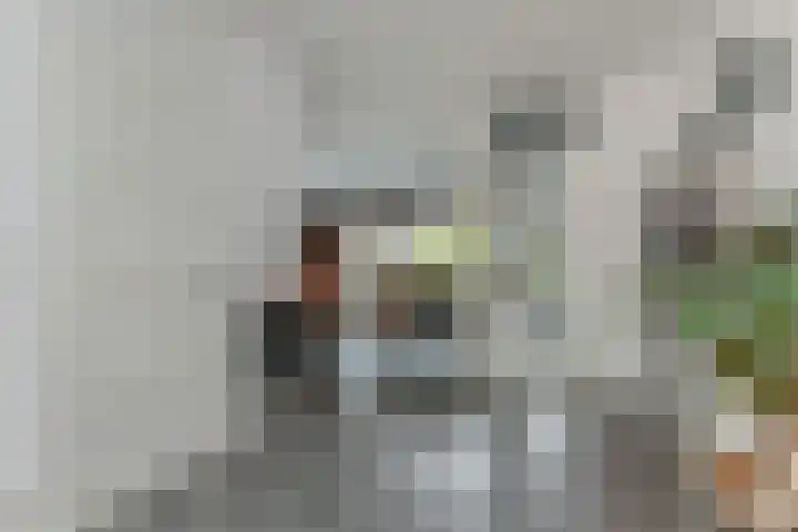 Sion 24 Pijnacker thumbnail 11