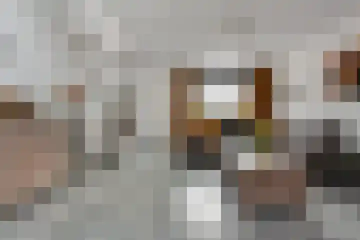 Sion 24 Pijnacker thumbnail 13