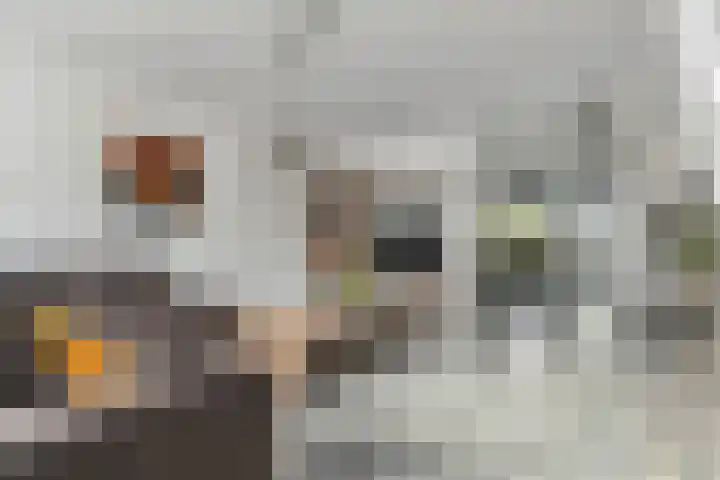 Sion 24 Pijnacker thumbnail 14