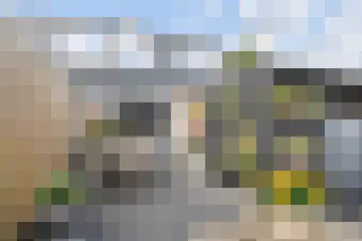 Sion 24 Pijnacker thumbnail 16