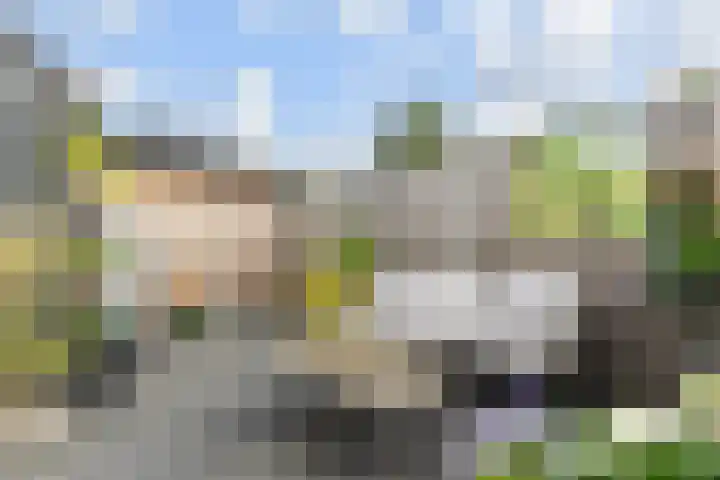 Sion 24 Pijnacker thumbnail 18