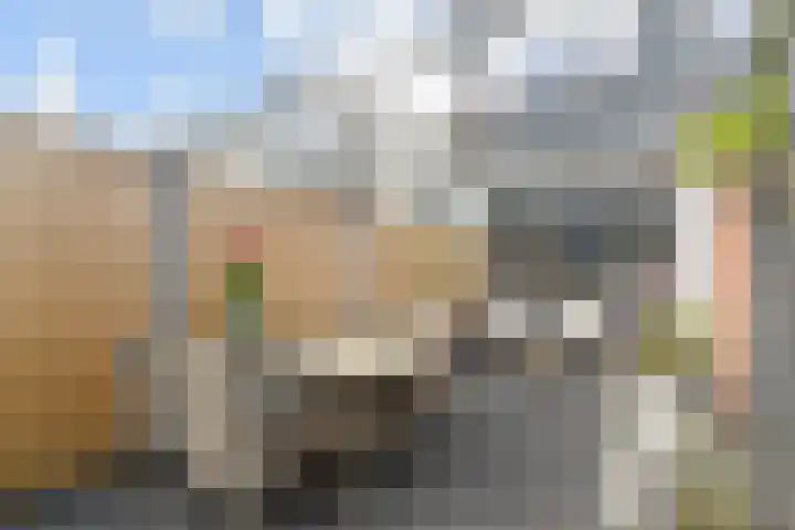 Sion 24 Pijnacker thumbnail 19