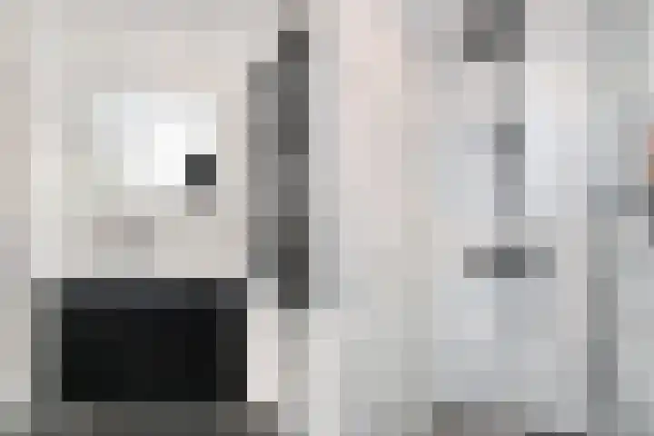 Sion 24 Pijnacker foto 2