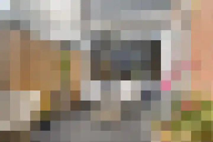 Sion 24 Pijnacker thumbnail 20