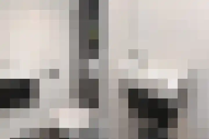 Sion 24 Pijnacker thumbnail 22