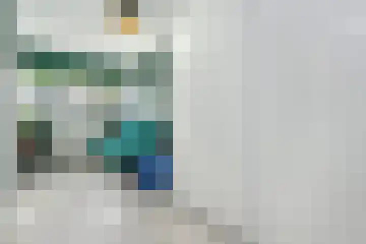 Sion 24 Pijnacker thumbnail 29