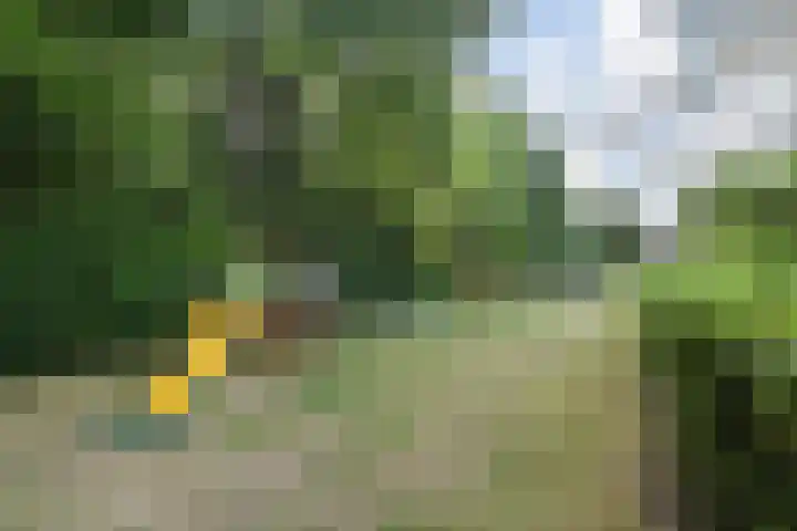 Sion 24 Pijnacker thumbnail 37