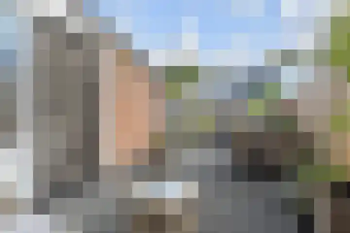 Sion 24 Pijnacker thumbnail 4