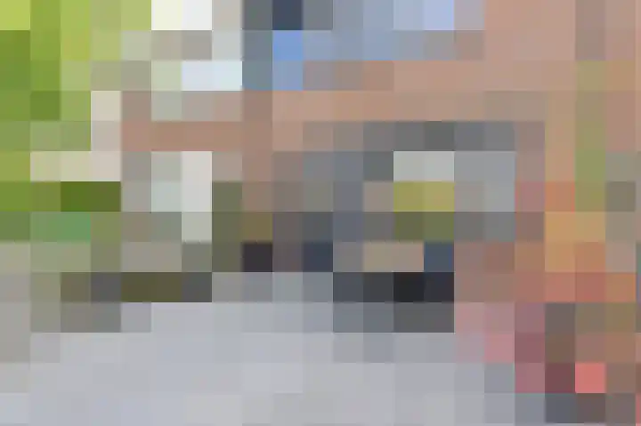 Sion 24 Pijnacker thumbnail 6