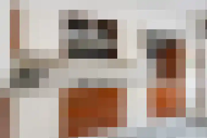 Sion 24 Pijnacker thumbnail 8