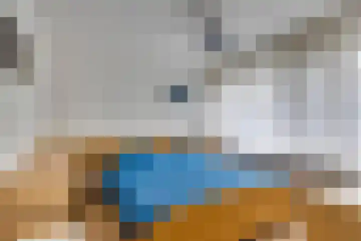 Sirius 16 Veldhoven thumbnail 13