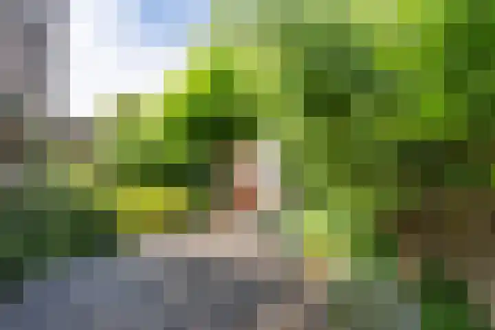 Sirius 48 Oosterhout thumbnail 36
