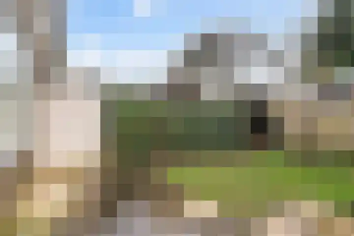 Siriusdreef 9 Arnhem thumbnail 16