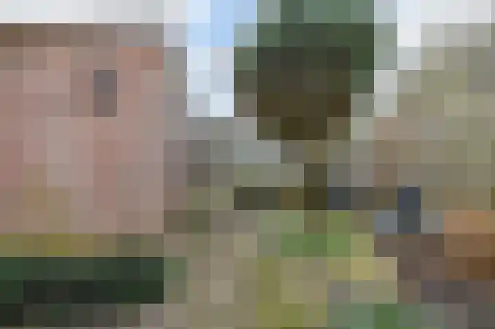 Siriusdreef 9 Arnhem thumbnail 18