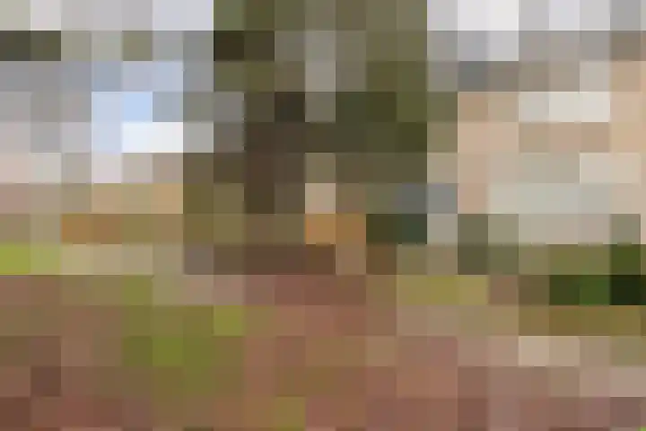 Siriusdreef 9 Arnhem thumbnail 32