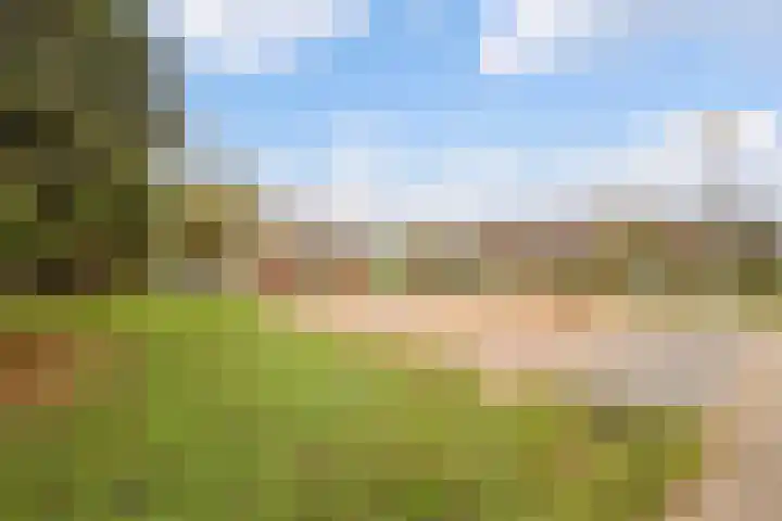 Siriusdreef 9 Arnhem thumbnail 35